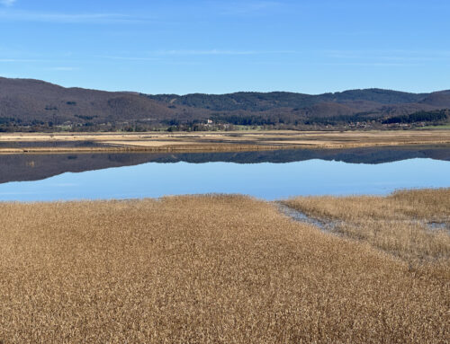 Predstavnik ESA obiskal Notranjski regijski park