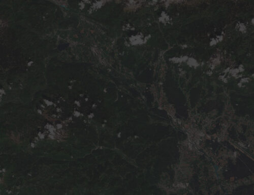 Digitalni dvojček Slovenije – prvi vpogled